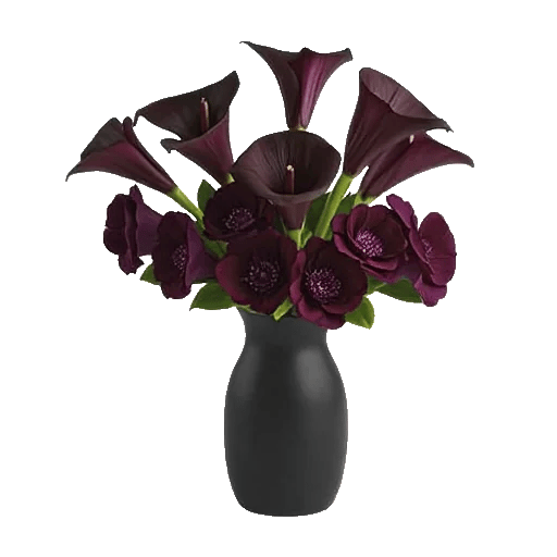 Elegant Calla Lilies