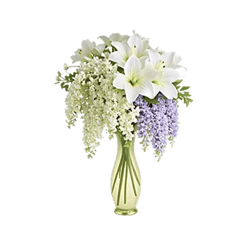 Serene Lily Cascade