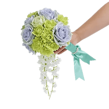 Serene Petal Harmony