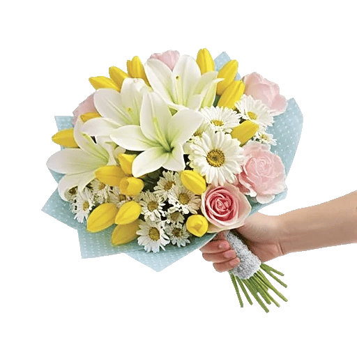 Blossom Harmony Display