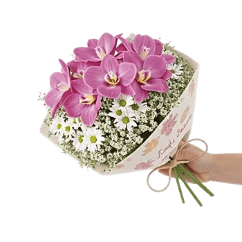 Serenity Orchid Bloom