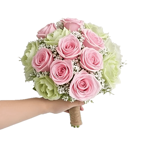 Pastel Pink Roses