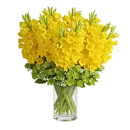 Radiant Bloom Cascade