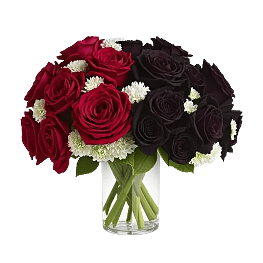 Crimson Rose Elegance