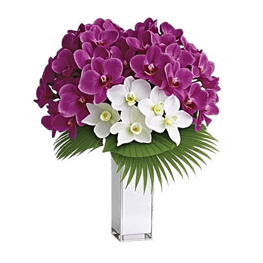 Orchid Bloom Cascade