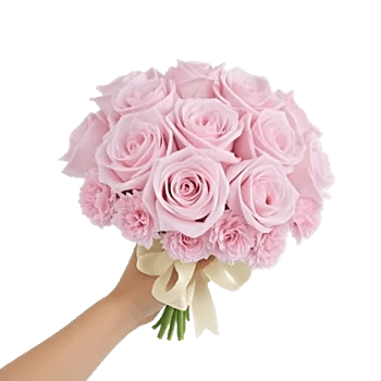 Pastel Pink Roses