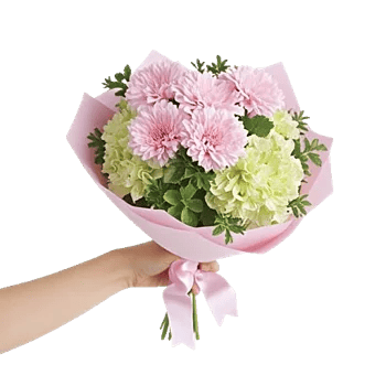 Petal Softness Display