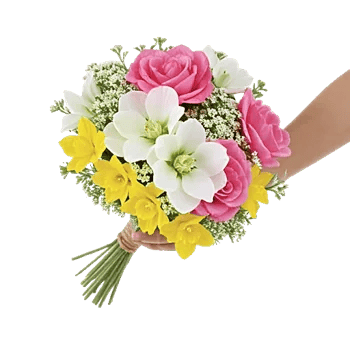 Blossom Harmony Display