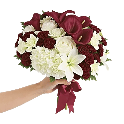 Elegant Calla Lilies