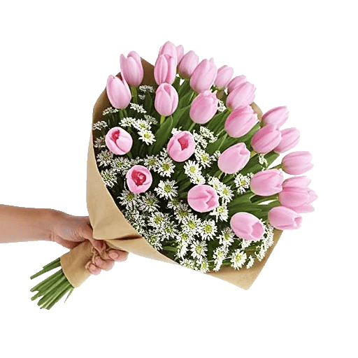 Blossom Harmony Display