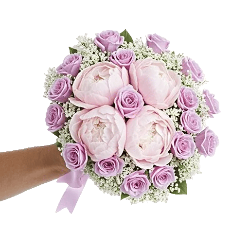 Peony Petal Harmony