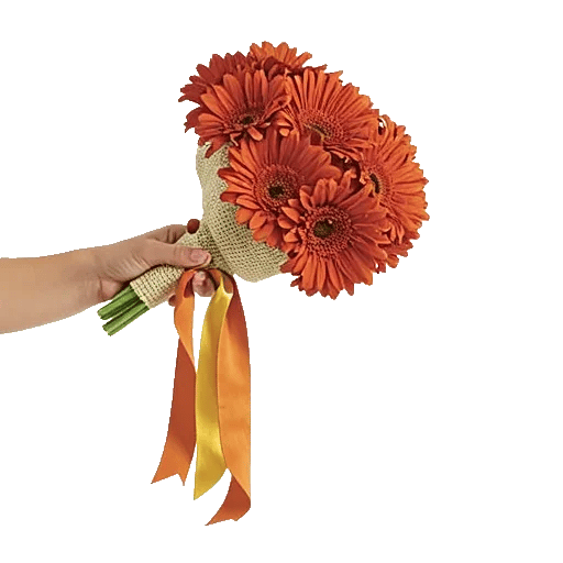 Delicate Petal Cascade