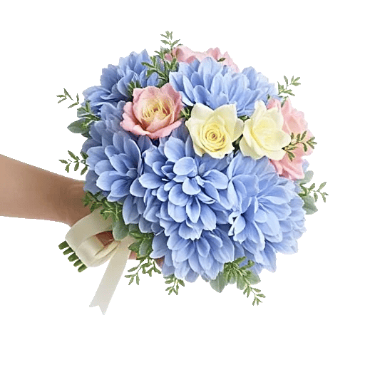 Serene Petal Harmony