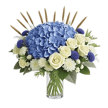 Serene Petal Harmony