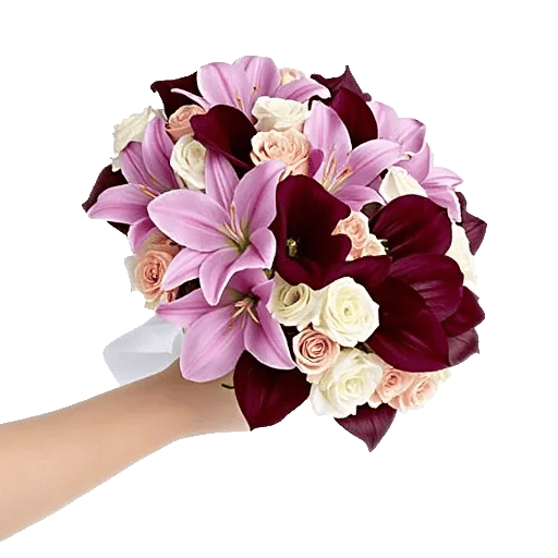 Elegant Calla Lilies