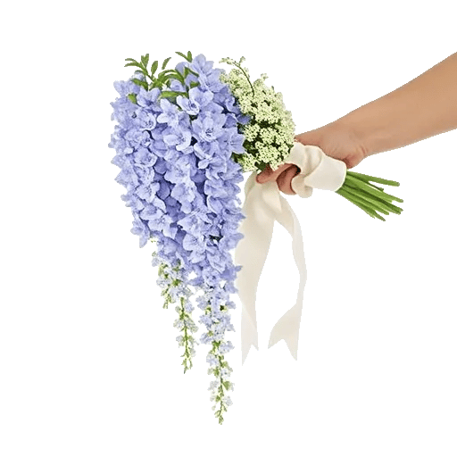 Delicate Petal Cascade