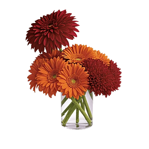 Ruby Petal Cascade