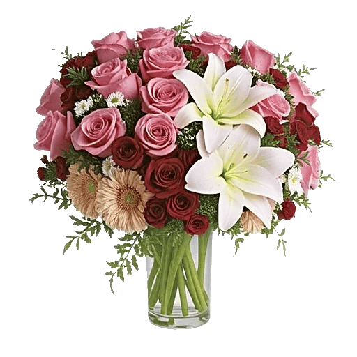 Blushing Rose Symphony