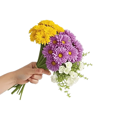 Golden Petal Harmony