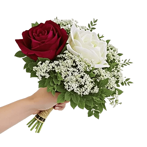 Peony Petal Harmony