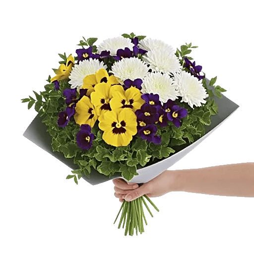 Ivory Blossom Radiance