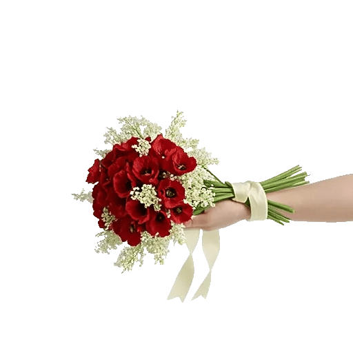 Blushing Rose Symphony