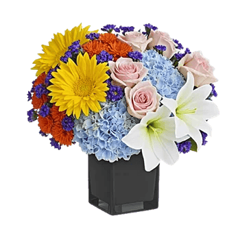 Petal Radiance Bliss