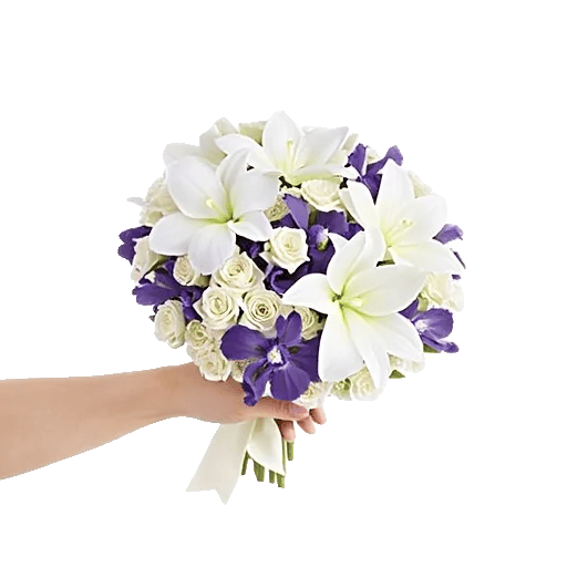 Minimalist White Orchids