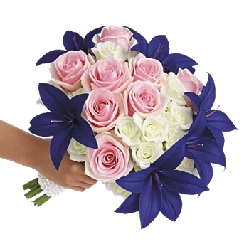 Blushing Rose Symphony