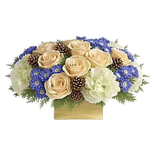 Ivory Blossom Radiance