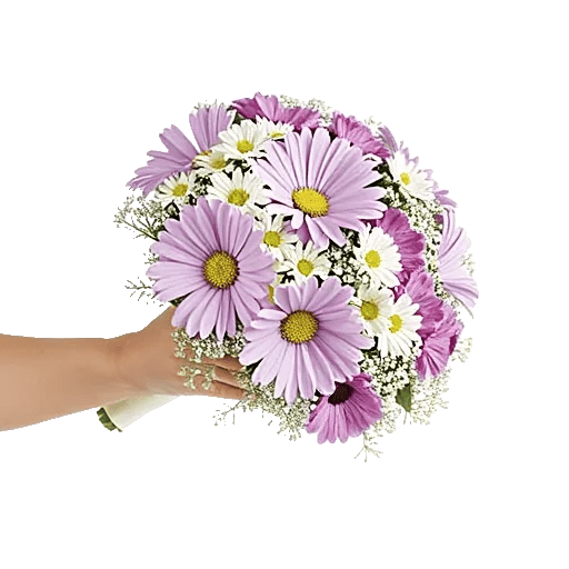 Blossom Petal Serenity