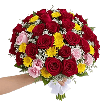 Blushing Rose Symphony