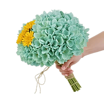 Serene Petal Harmony