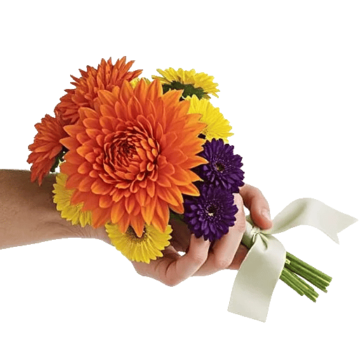 Radiant Bloom Cascade