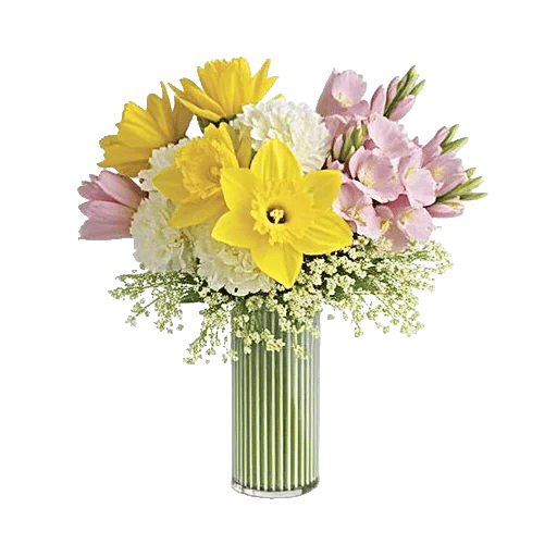 Ivory Blossom Radiance