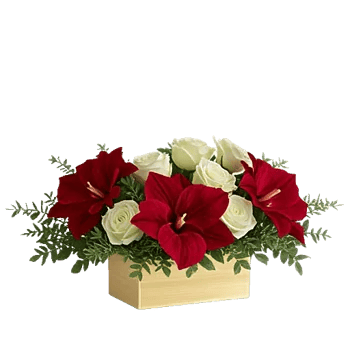 Crimson Blossom Harmony