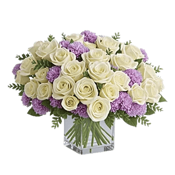 Ivory Blossom Radiance