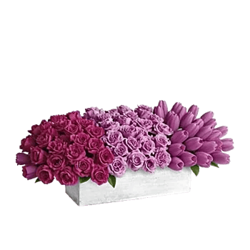 Velvet Tulip Display
