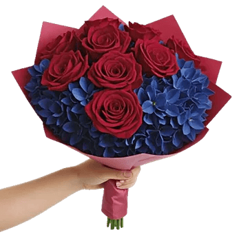 Crimson Rose Elegance