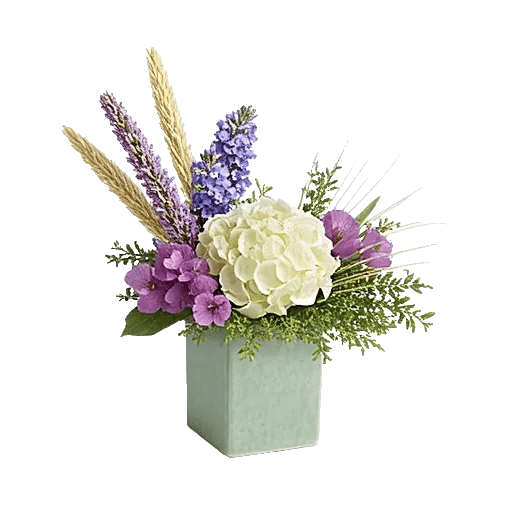 Ivory Blossom Radiance