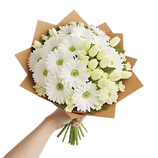 Blossom Harmony Display