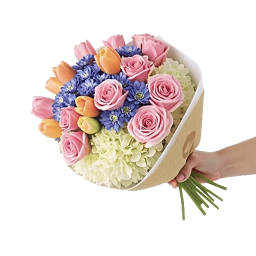 Pastel Blossom Grace