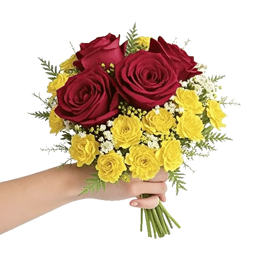 Crimson Rose Elegance