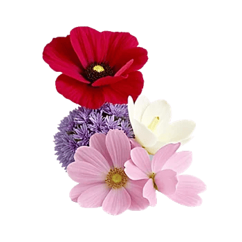 Graceful Lily Display