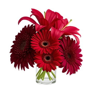 Crimson Blossom Harmony