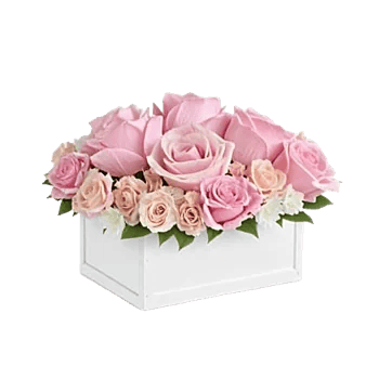 Pink Pastel Roses