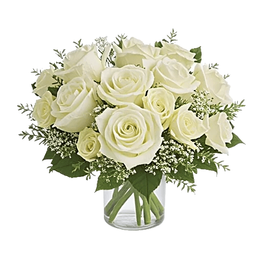 Serene Petal Harmony