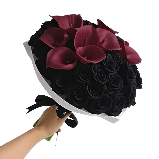 Elegant Calla Lilies