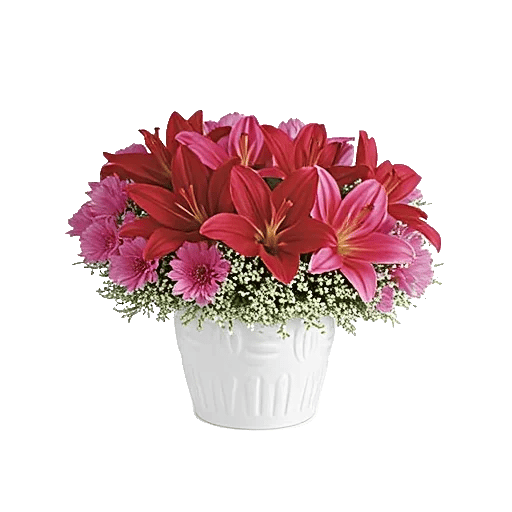 Graceful Lily Display
