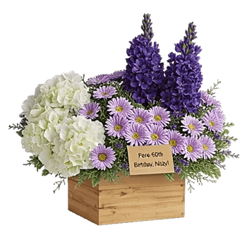 Petal Radiance Bliss